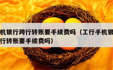 手机银行跨行转账要手续费吗（工行手机银行跨行转账要手续费吗）