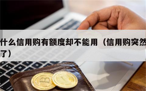 为什么信用购有额度却不能用（信用购突然没有了）