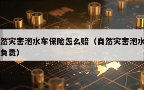 自然灾害泡水车保险怎么赔（自然灾害泡水车谁负责）