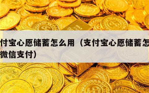 支付宝心愿储蓄怎么用（支付宝心愿储蓄怎么用微信支付）