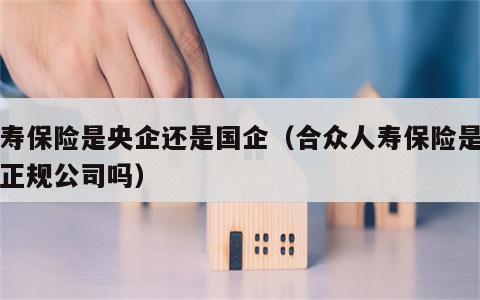 人寿保险是央企还是国企（合众人寿保险是国家正规公司吗）