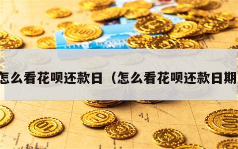 怎么看花呗还款日（怎么看花呗还款日期）