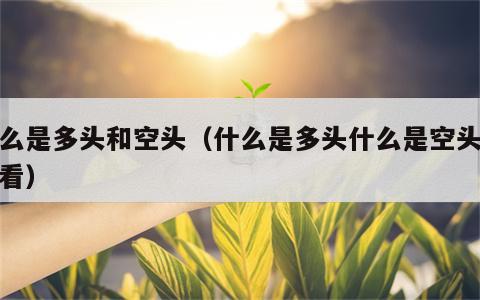 什么是多头和空头（什么是多头什么是空头怎么看）