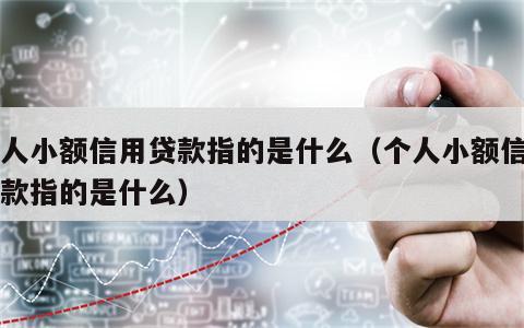 个人小额信用贷款指的是什么（个人小额信用贷款指的是什么）