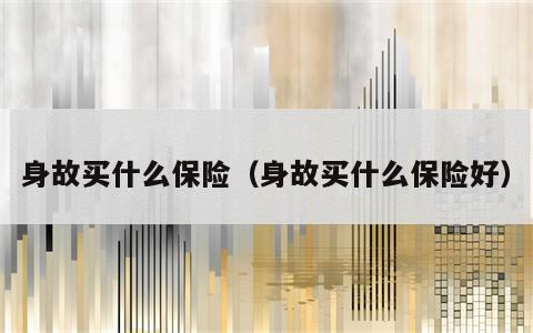 身故买什么保险（身故买什么保险好）
