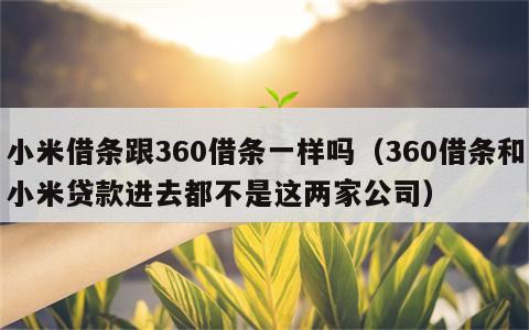 小米借条跟360借条一样吗（360借条和小米贷款进去都不是这两家公司）