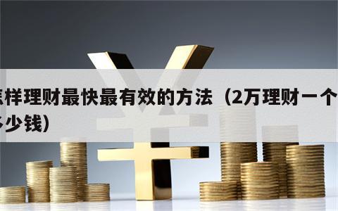 怎样理财最快最有效的方法（2万理财一个月多少钱）