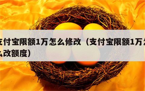 支付宝限额1万怎么修改（支付宝限额1万怎么改额度）