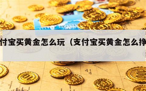 支付宝买黄金怎么玩（支付宝买黄金怎么挣钱）
