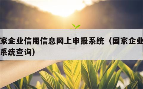 国家企业信用信息网上申报系统（国家企业信用系统查询）