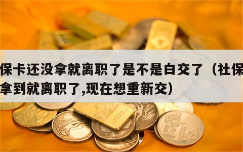社保卡还没拿就离职了是不是白交了（社保卡未拿到就离职了,现在想重新交）