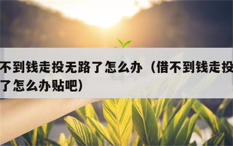 借不到钱走投无路了怎么办（借不到钱走投无路了怎么办贴吧）