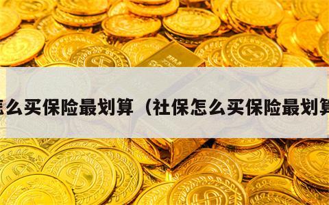 怎么买保险最划算（社保怎么买保险最划算）