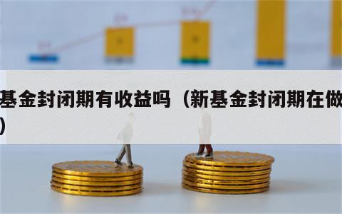 新基金封闭期有收益吗（新基金封闭期在做什么）