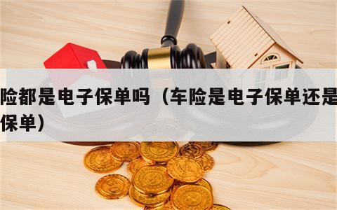 车险都是电子保单吗（车险是电子保单还是纸质保单）