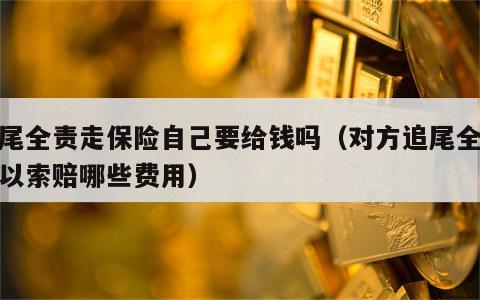 追尾全责走保险自己要给钱吗（对方追尾全责可以索赔哪些费用）