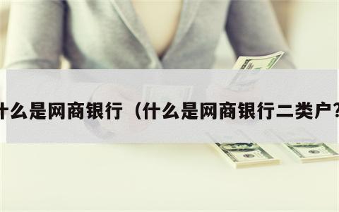 什么是网商银行（什么是网商银行二类户?）