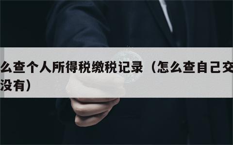 怎么查个人所得税缴税记录（怎么查自己交税了没有）