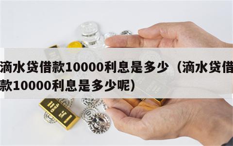 滴水贷借款10000利息是多少（滴水贷借款10000利息是多少呢）