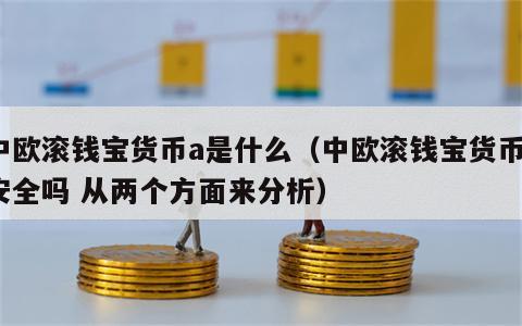 中欧滚钱宝货币a是什么（中欧滚钱宝货币a安全吗 从两个方面来分析）