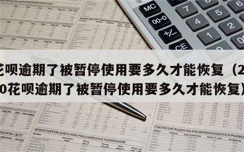 花呗逾期了被暂停使用要多久才能恢复（2020花呗逾期了被暂停使用要多久才能恢复）