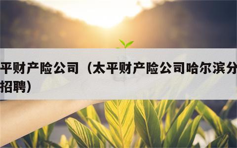 太平财产险公司（太平财产险公司哈尔滨分公司招聘）