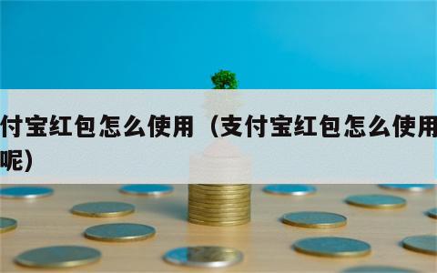 支付宝红包怎么使用（支付宝红包怎么使用不了呢）