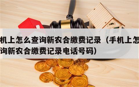 手机上怎么查询新农合缴费记录（手机上怎么查询新农合缴费记录电话号码）