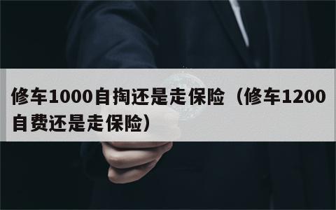 修车1000自掏还是走保险（修车1200自费还是走保险）