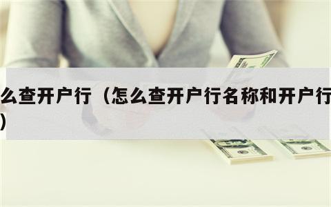 怎么查开户行（怎么查开户行名称和开户行行号）