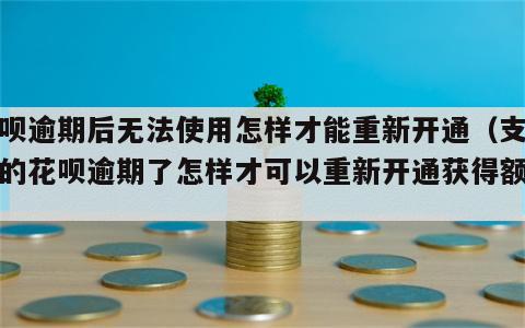 花呗逾期后无法使用怎样才能重新开通（支付宝的花呗逾期了怎样才可以重新开通获得额度）