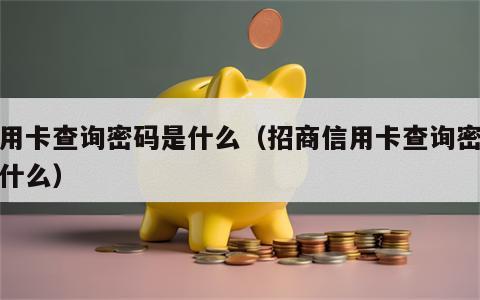 信用卡查询密码是什么（招商信用卡查询密码是什么）