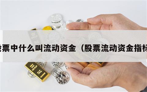 股票中什么叫流动资金（股票流动资金指标）