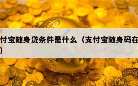 支付宝随身贷条件是什么（支付宝随身码在哪里）