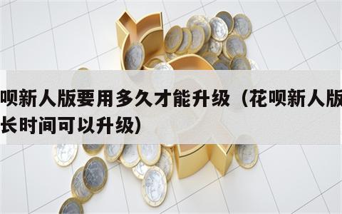 花呗新人版要用多久才能升级（花呗新人版用多长时间可以升级）