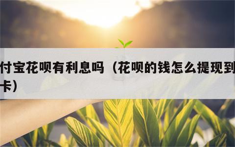 支付宝花呗有利息吗（花呗的钱怎么提现到银行卡）
