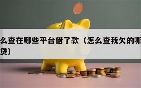 怎么查在哪些平台借了款（怎么查我欠的哪些网贷）