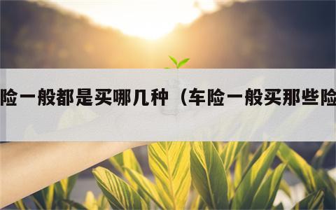 车险一般都是买哪几种（车险一般买那些险种?）