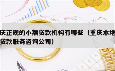 重庆正规的小额贷款机构有哪些（重庆本地小额贷款服务咨询公司）