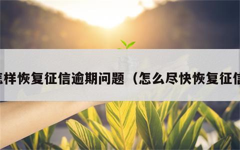 怎样恢复征信逾期问题（怎么尽快恢复征信）