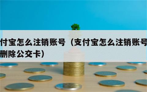 支付宝怎么注销账号（支付宝怎么注销账号怎么删除公交卡）