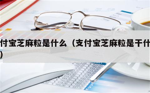支付宝芝麻粒是什么（支付宝芝麻粒是干什么的）