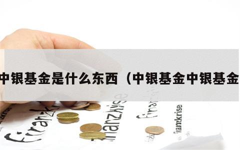 中银基金是什么东西（中银基金中银基金）