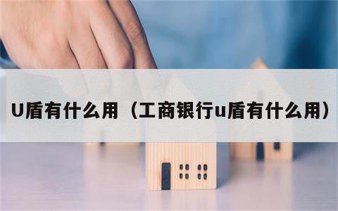 U盾有什么用（工商银行u盾有什么用）