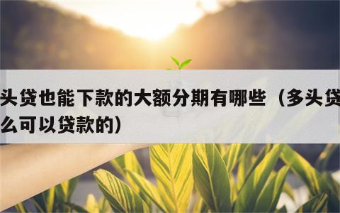 多头贷也能下款的大额分期有哪些（多头贷有什么可以贷款的）