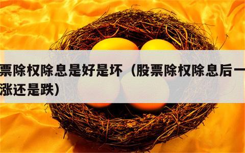 股票除权除息是好是坏（股票除权除息后一般是涨还是跌）