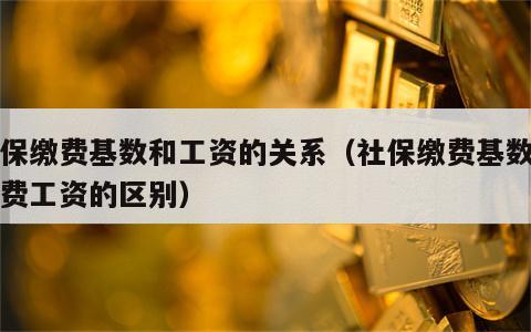 社保缴费基数和工资的关系（社保缴费基数和缴费工资的区别）