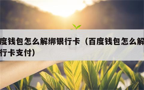 百度钱包怎么解绑银行卡（百度钱包怎么解绑银行卡支付）