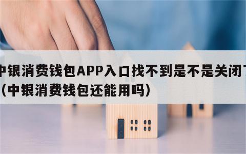 中银消费钱包APP入口找不到是不是关闭了（中银消费钱包还能用吗）
