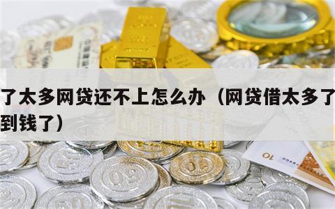 借了太多网贷还不上怎么办（网贷借太多了借不到钱了）